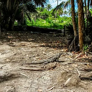 Miraluna 233 At Luum Zama Hotel Tulum